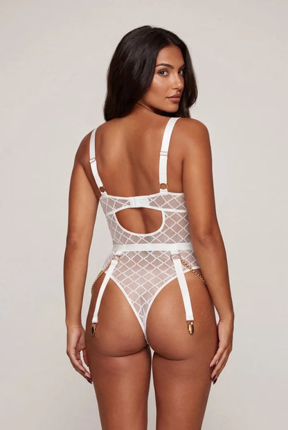 Body Aurelia